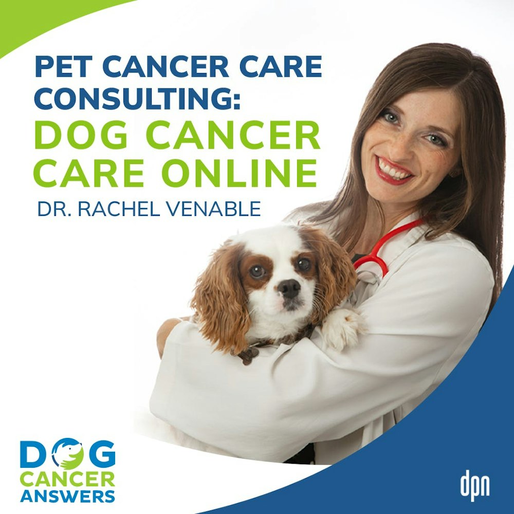 Pet Cancer Care Consulting: Dog Cancer Care Online | Dr. Rachel Venable #160
