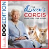 The Queen’s Corgis: An 89-Year Love Affair | Dog Edition #65