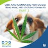 CBD and Cannabis for Dogs: Then, Now, and Looking Forward Part 2 | Dr. Narda Robinson #220