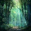 528 Hz With Forest Sounds Can Transport You To A Place Of Serenity And Growth, Enhancing The DNA Repair And Transformation