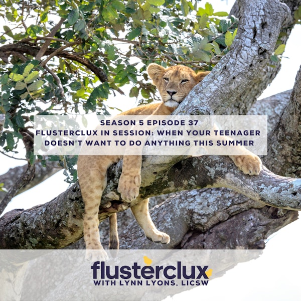 Flusterclux In Session: When Your Teenager Doesn't Want to Do Anything This Summer