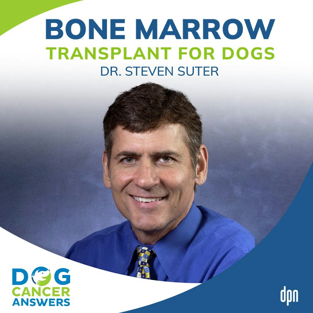 Bone Marrow Transplants for Dogs | Dr. Steven Suter #163