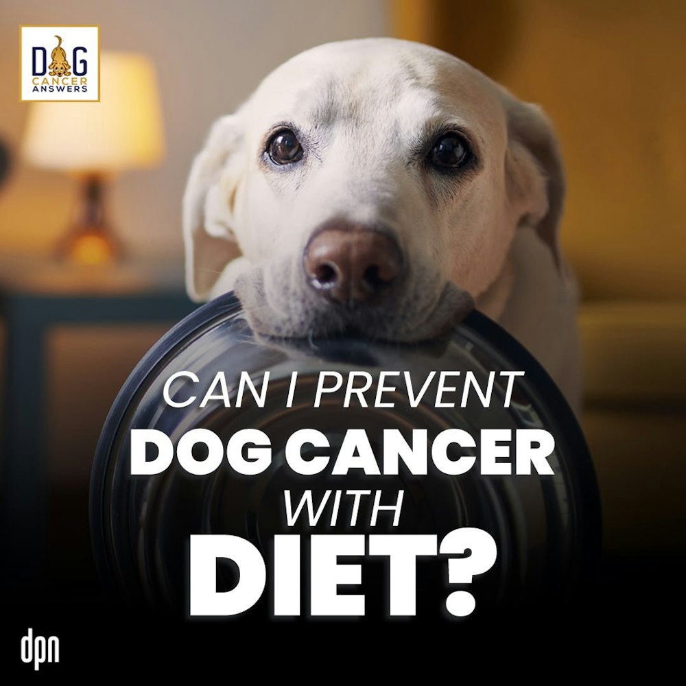 Can I Prevent Dog Cancer With Diet? | Dr. Nancy Reese Q&A