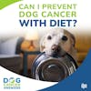 Can I Prevent Dog Cancer With Diet? | Dr. Nancy Reese #156
