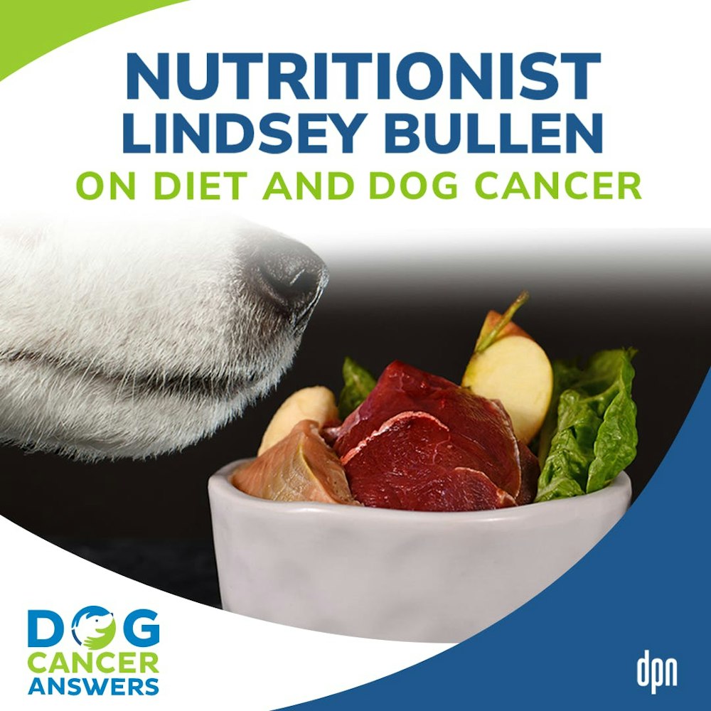Nutritionist Lindsey Bullen on Diet and Dog Cancer | Dr. Lindsey Bullen #165