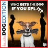 Who gets the dog if we split? | Dog Edition #44