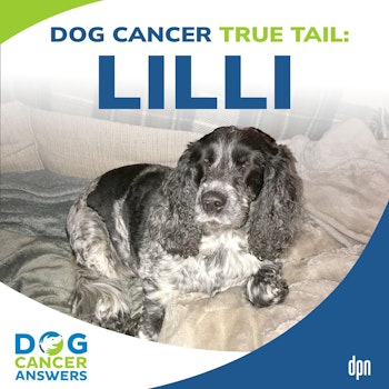 Dog Cancer True Tail: Lilli | John Mcleish #208