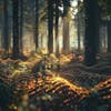 Alpha Waves With Forest Morning Sounds Great For Relaxation And Creativity