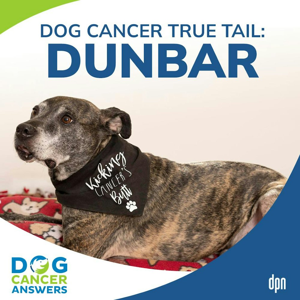 Dog Cancer True Tail: Dunbar | Dr. Katie Berlin & Tara Diehl #183