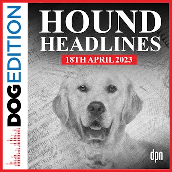 Hound Headlines 4/18/23 | Dog Edition #92