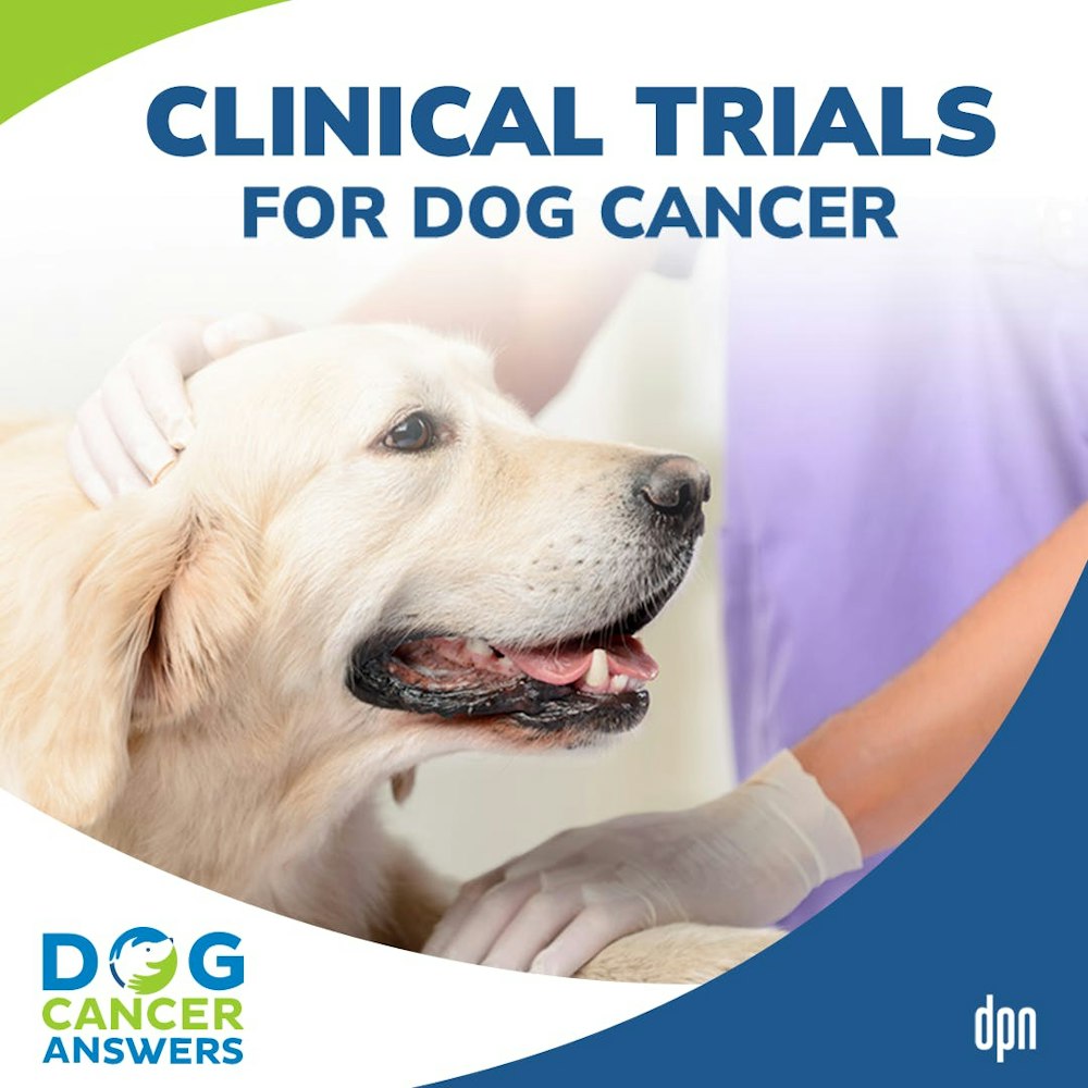 Clinical Trials for Dog Cancer | Dr. Trina Hazzah #120