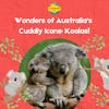 Wonders of Australia's Cuddly Icons: Koalas!