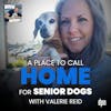 A Place to Call Home for Senior Dogs with Valerie Reid | The Long Leash #65