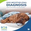 Dog Mesothelioma Diagnosis | Dr. Dressler #124