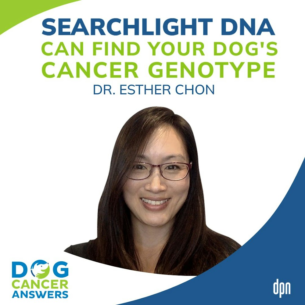 SearchLight DNA Can Find Your Dog's Cancer Genotype | Dr. Esther Chon #161