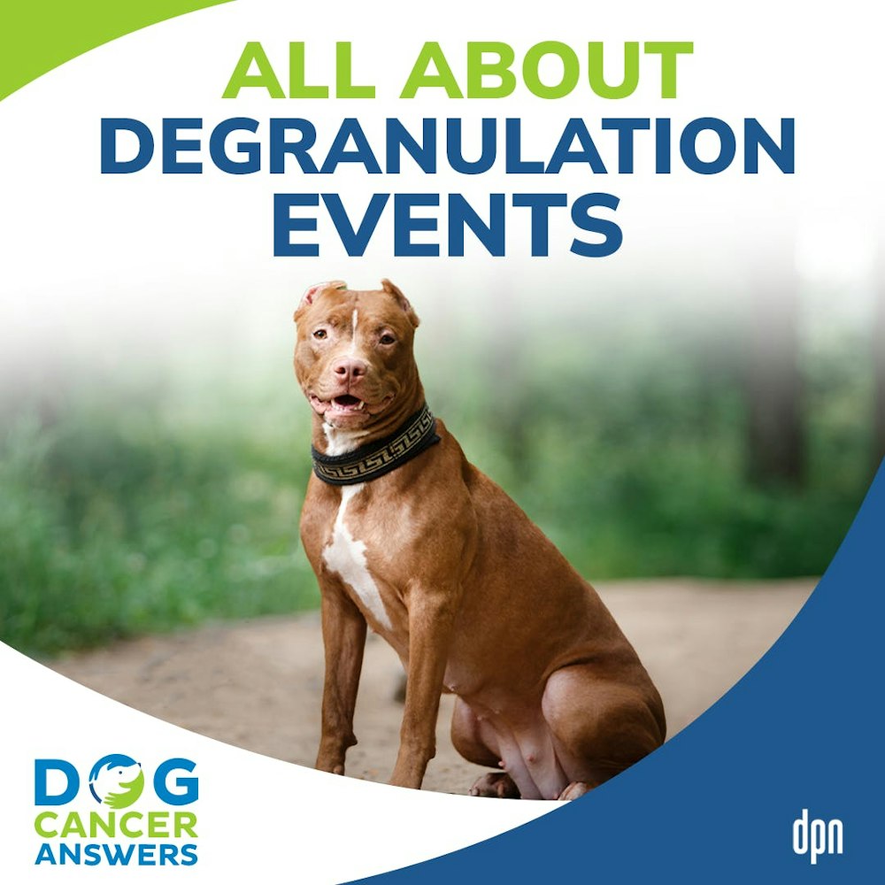 All About Degranulation Events | Dr. Brooke Britton #209
