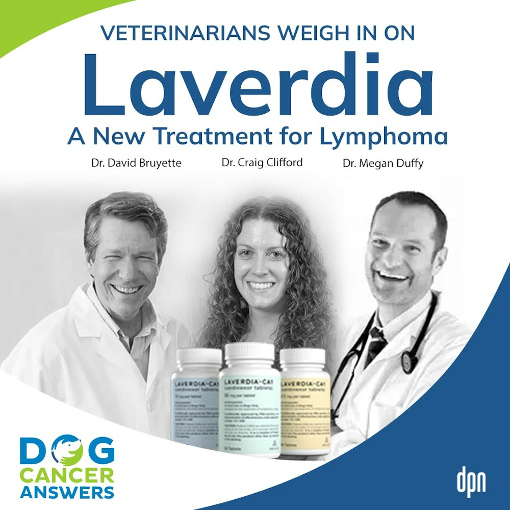 Laverdia: A New Treatment for Lymphoma | Dr. David Bruyette, Dr. Megan Duffy, and Dr. Craig Clifford #145
