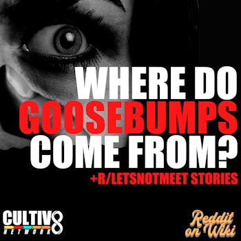 #51: Where Do Goosebumps Come From? + Stories From r/letsnotmeet