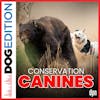 Conservation Canines | Dog Edition #51