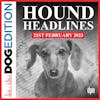 Hound Headlines 2/21/23 | Dog Edition #84