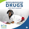 Repurposed Drugs for Cancer (Mast Cell Tumors) in Dogs | Dr. Lauren Barrow #228