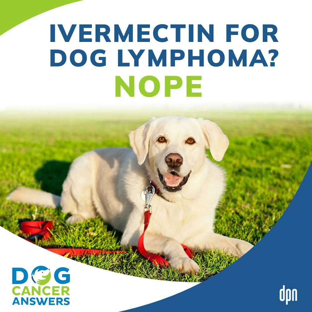Ivermectin for Dog Lymphoma? Nope | Dr. Brooke Britton #211