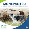 Monepantel: A Future Treatment for Dog Lymphoma | Dr. Kim Agnew #207