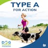 How Type A for Action Treats Dog Cancer | Molly Jacobson #132