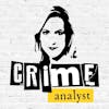 Crime Analyst
