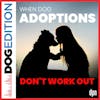 When Dog Adoptions Don’t Work Out | Dog Edition #49