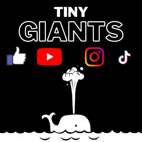 Teaser: What’s a Tiny Giant & Why Do I Care?