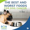 The Best and Worst Foods for Dog Cancer | Dr. Susan Recker #214