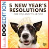 5 New Year's Resolutions for You and Your Dog | Dog Edition #79