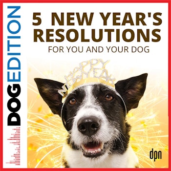 5 New Year's Resolutions for You and Your Dog | Dog Edition #79