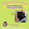 81 | Amazing Animal Stories with Coryelle Kramer
