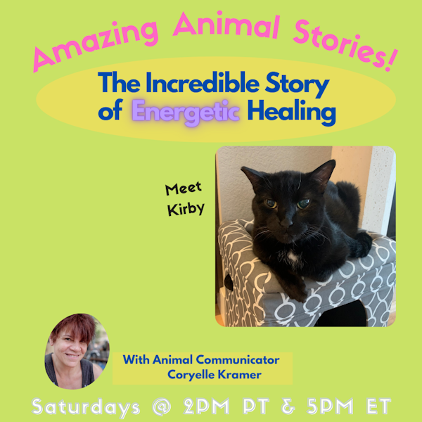 81 | Amazing Animal Stories with Coryelle Kramer