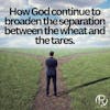 The Separation Of The Wheat & Tares Continues | The Todd Coconato Show