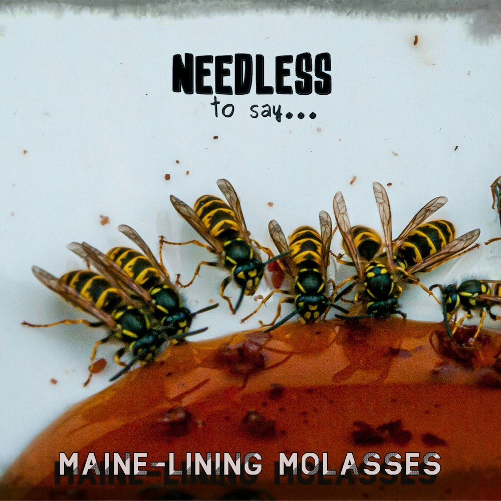 Maine-Lining Molasses