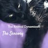 Conversations With Coryelle- Animal Dynamic's The Sensory
