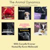 Conversations With Coryelle- Animal Dynamic's Part one- Direct and Demanding One