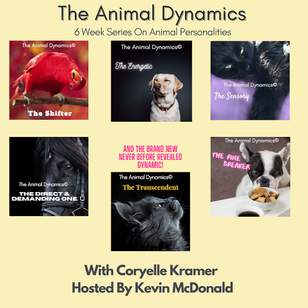 Conversations with Coryelle- Animal Dynamics- The Shifter