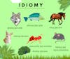 #252 Idiomy związane ze zwierzętami - Idioms related to animals