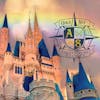 Walt Disney World Reopening Plans, Summer 2020
