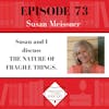 Susan Meissner - THE NATURE OF FRAGILE THINGS