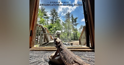 image for Dreamcatcher Global Radio Episode CINCO