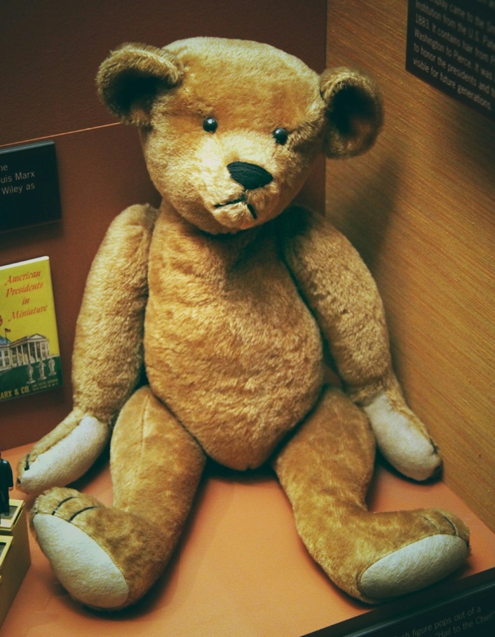 The Surprising Story of How the Teddy Bear Got Its Name: A Piece of Rad History