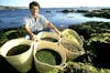 Are Marine Algae Sustainable?