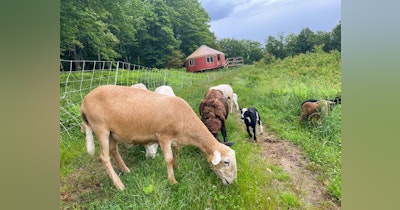 image for Five-Stars Farmstay Course is Open!