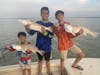 Red Fish in the Lower Laguna Madre Ep 67