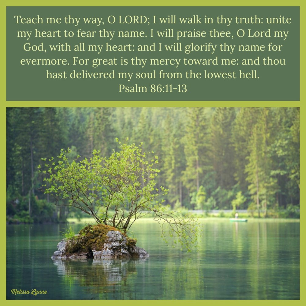 Teach Me Thy Way, O LORD